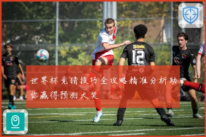世界杯竞猜技巧全攻略精准分析助你赢得预测大奖