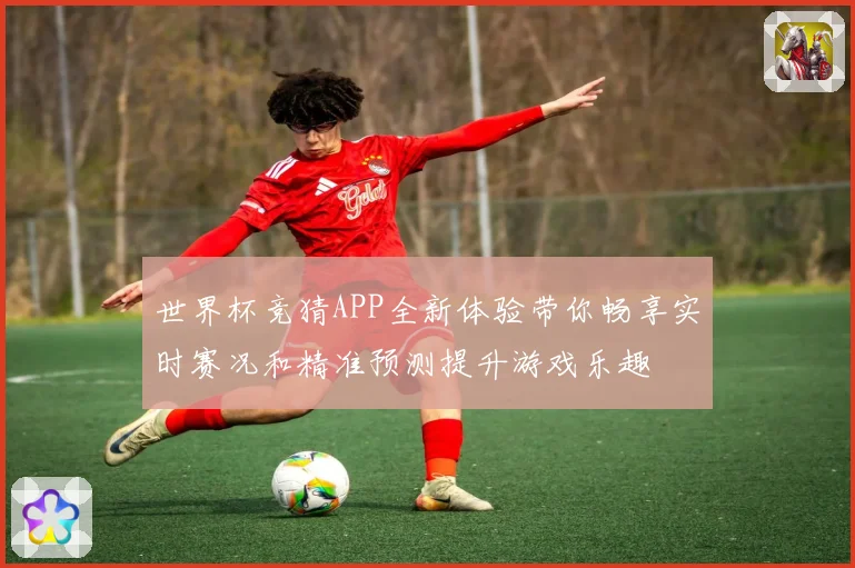 世界杯竞猜APP全新体验带你畅享实时赛况和精准预测提升游戏乐趣