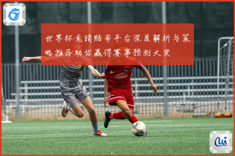 世界杯竞猜赔率平台深度解析与策略推荐助你赢得赛事预测大奖